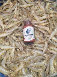 Gambar Disinfektan Terbaik Untuk Udang & Ikan || FisTx Nano Disinfektan 250gr dari FisTx Indonesia Kab. Sleman 3 Tokopedia