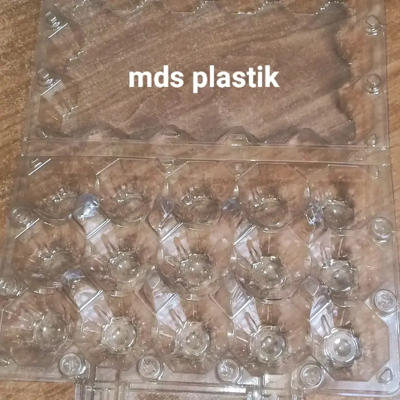 Tray Mika Telur 15 Kancing Ada Handle / Wadah Telur 2