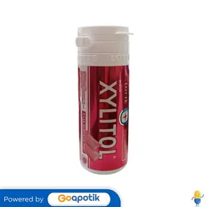 LOTTE XYLITOL RASA STRAWBERRY MINT BOTOL 19 PCS