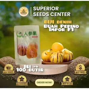 Benih Buah Pepino Kuning Import, Isi 100 Butir Bibit Tanaman