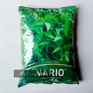 benih bibit kangkung vario 1 kg (23000 biji) kmasan pabrik kangkung potong / kangkung cabut