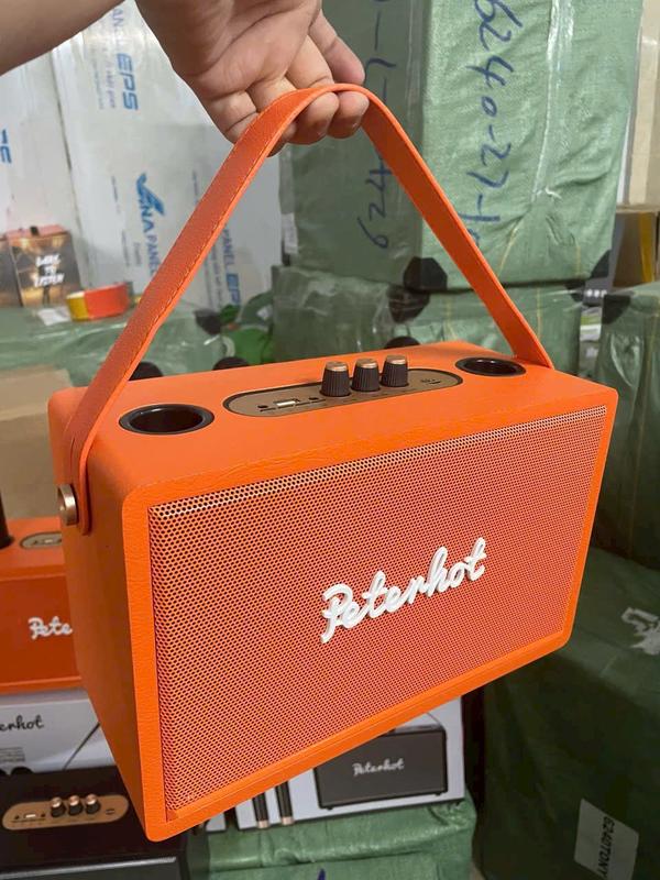 Loa Bluetooth Peterhot A109W Kèm 2 Micro Không Dây Hát Karaoke Cực Chất Củ Loa Nghe Nhạc