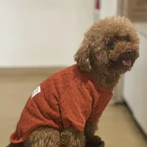 Baju kucing anjing kelinci monyet cowok cewek lucu - Sweater Pomeran Bulu Kucing