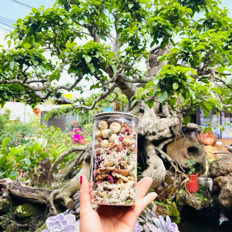 Granola có yến mạch  ( hũ 500g )( có trái cây sấy ) 1