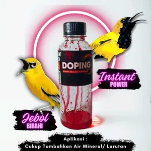 Doping burung pleci - kolibri