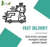 Gambar YAKULT. MINUMAN PROBIOTIK KESEHATAN PENCERNAAN dari OmahJamuToped Kota Malang 5 Tokopedia