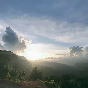 Pupuk Buah Buahan Nutrisi Organik Booster Pelebat Tumbuhan - 250g