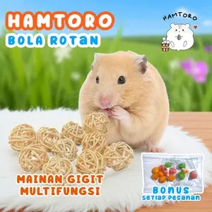 Bola Rotan/Rattan Ball 3cm mainan gigit Hamster,Landak Mini, Sugar Glider