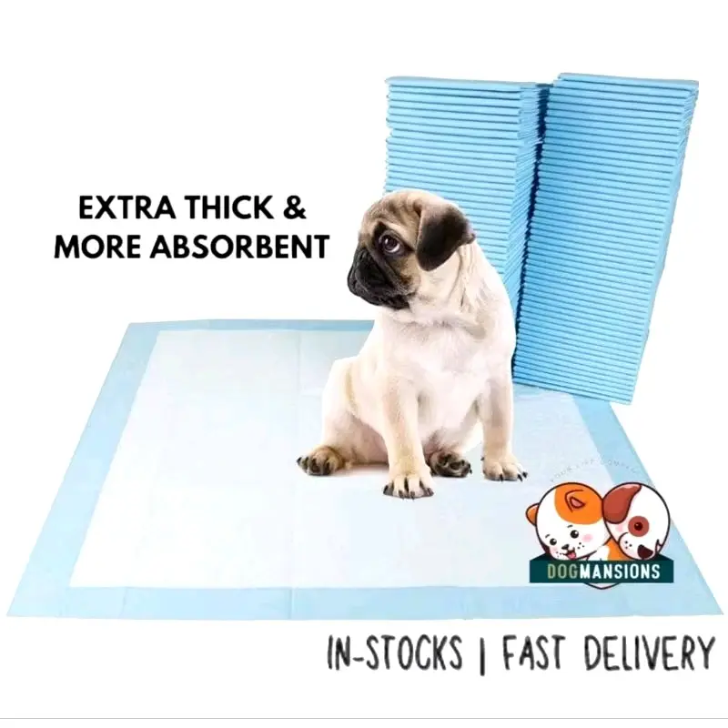 (3 for $18.90)Ready Instocks Super Absorbent Pet Pee Pad For Training
