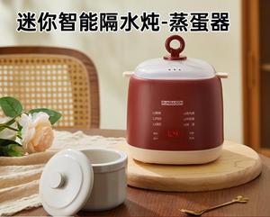 Household Automatic Power off Boiled Egg Fantastic Product Boiled Egg Smart Egg Steamer Bain-Marie Breakfast Machine Artifact