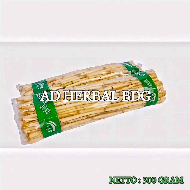 Akar Alang Alang Segar Isi Per 500 Gram Organik 2