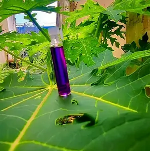 PARFUM AURA MINYAK MANI ADAM 4.0