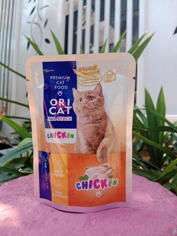 ORI CAT wet food pouch / sachet isi 12 pcs - Makanan basah kucing MURAH 4