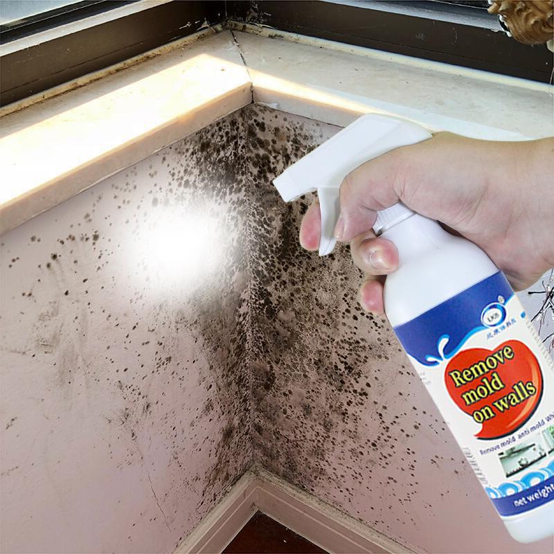 500Ml Wall Mold Remover Spray /Spray Pembersih Jamur  /  Pembersih Kulat Kotoran Dinding/ Cairan Pembersih Jamur - 1PC