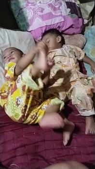 Product Review of Belovya Bajur Tidur Anak Laki-laki Tanpa kerah Usia 1-12 Tahun Minizoecoko Katun from C**5 3