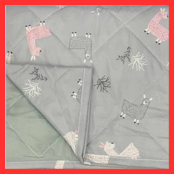 Mền Hè Cotton Đũi Hàn Quốc – Chống Nóng, Không Bám Mùi, Dùng Cho Trẻ Em Và Người Lớn 7
