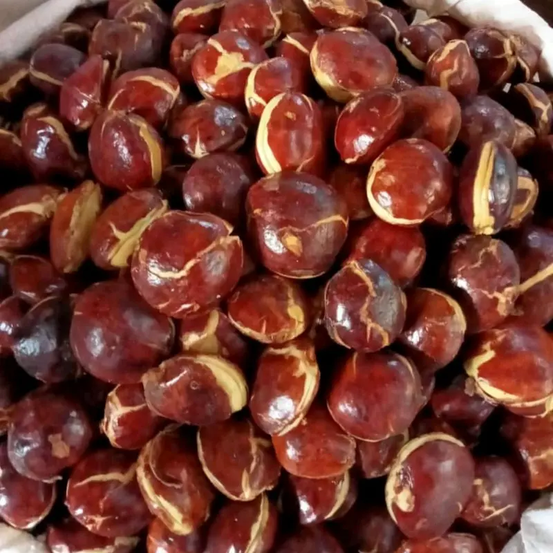 Timbangan isi jengkol 1kg segar dan fres Masakan Makanan Kering Kitchenware buah kering asam potong medan Snack Food 2