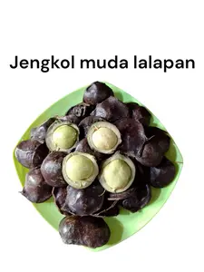 Jengkol muda lalap di kirim sama cangkang berat 500 gram dan 1 kg
