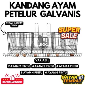 Kandang Ayam Petelur Galvanis Tahan Karat | Best Seller
