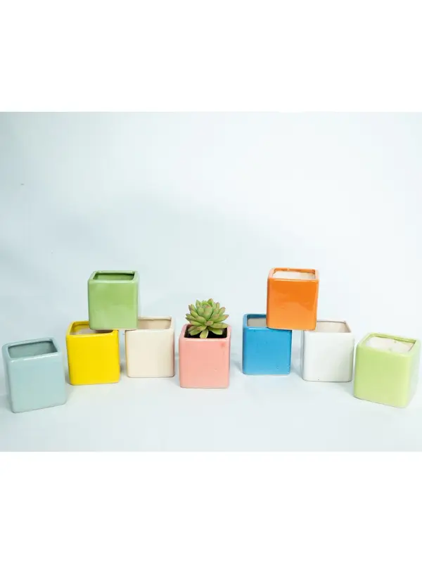 Pot Mini Pot Keramik Pot Kotak Pot Tanaman Hias Motif Kotak Berbagai Macam Warna