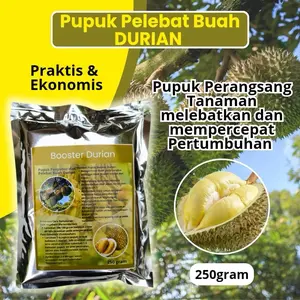 Booster Duren Pupuk Pelebat Buah Durian 250gram Praktis Ekonomis Membuat Tanaman Optimal Mempercepat Pertumbuhan Akar Daun Dan Buah