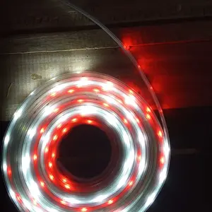 Lampu LED Strip Selang paket Merah Putih 3528 2835 220V + Adaptor 5M/10M/15M/20M/25M/30M Outdoor Led Strip 17 Agustus