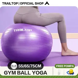 [READY] TrailTop Gym Ball Free Pompa Gym Ball Ibu Hamil 65/75cm Bola Yoga Alat Olahraga Otot Gymball