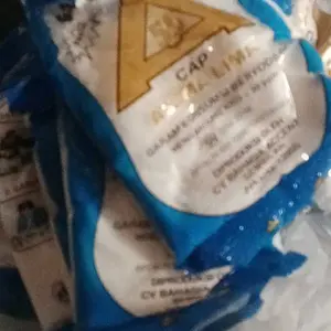 [20 pcs] Garam Masak Beryodium Bumbu Dapur 100 GR - Paket Hemat 20 Packets Garam Masak Beryodium