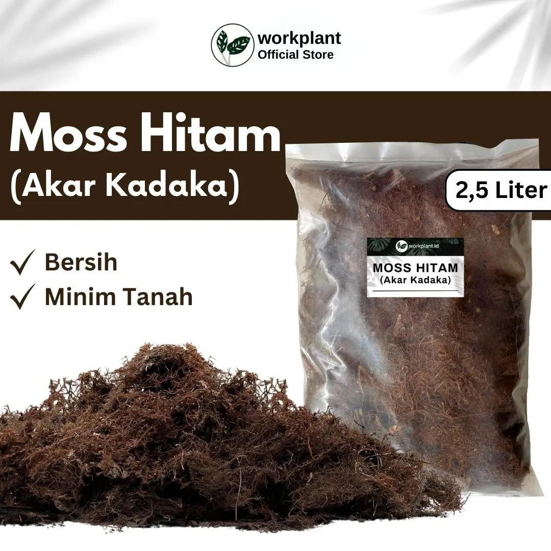 Workplant - Akar Kadaka / Moss Hitam Media Tanam Tanaman Hias Untuk Anggrek Platycerium dan Jenis Lainnya Sudah Bersih Dan Minim Tanah