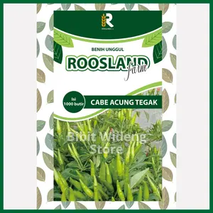( 1.000 Benih ) Cabe Rawit Acung Caplak | Rawit Tegak | Rawit Hijau Acung Tegak
