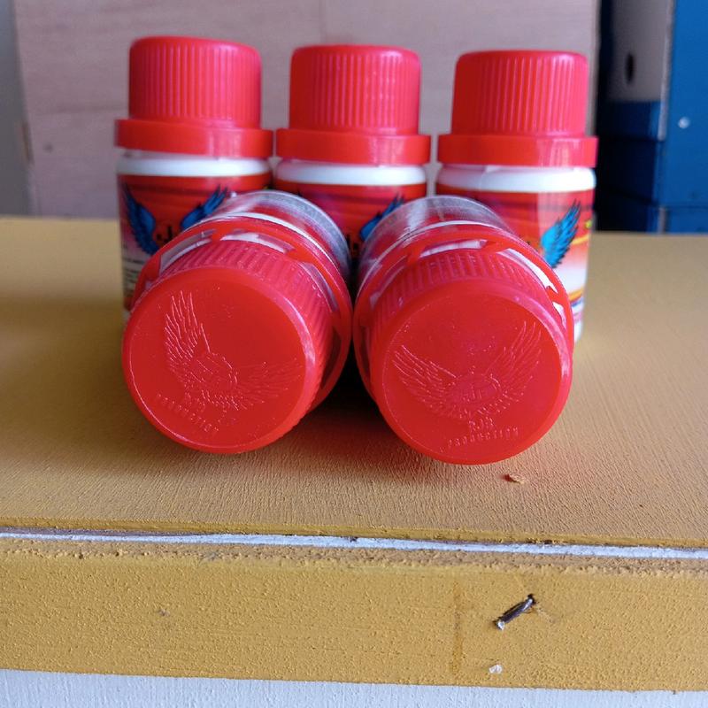 RJB UNTUK MERPATI KOLONG BEBAS 3