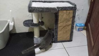 Product Review of Scarthcer cakaran kucing dengan tempat tidur dibagian atas untuk bersantai garukan kucing jumbo from D**s 0