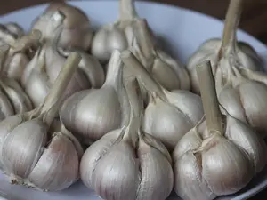 Bawang putih Katingg 1kg super