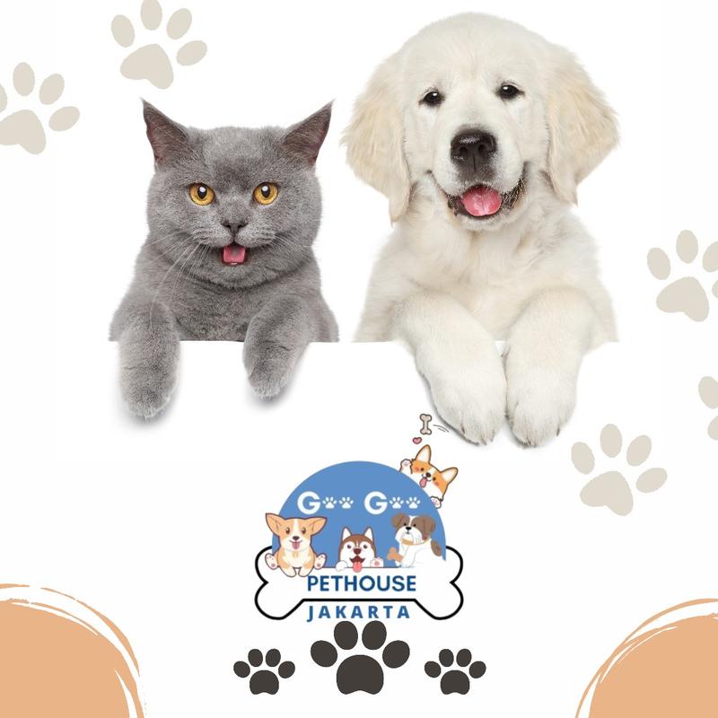 Product Introduction of Underpad perlak alas pipis anjing carbon ukuran 60 cm x 90 cm - 1 pack 1