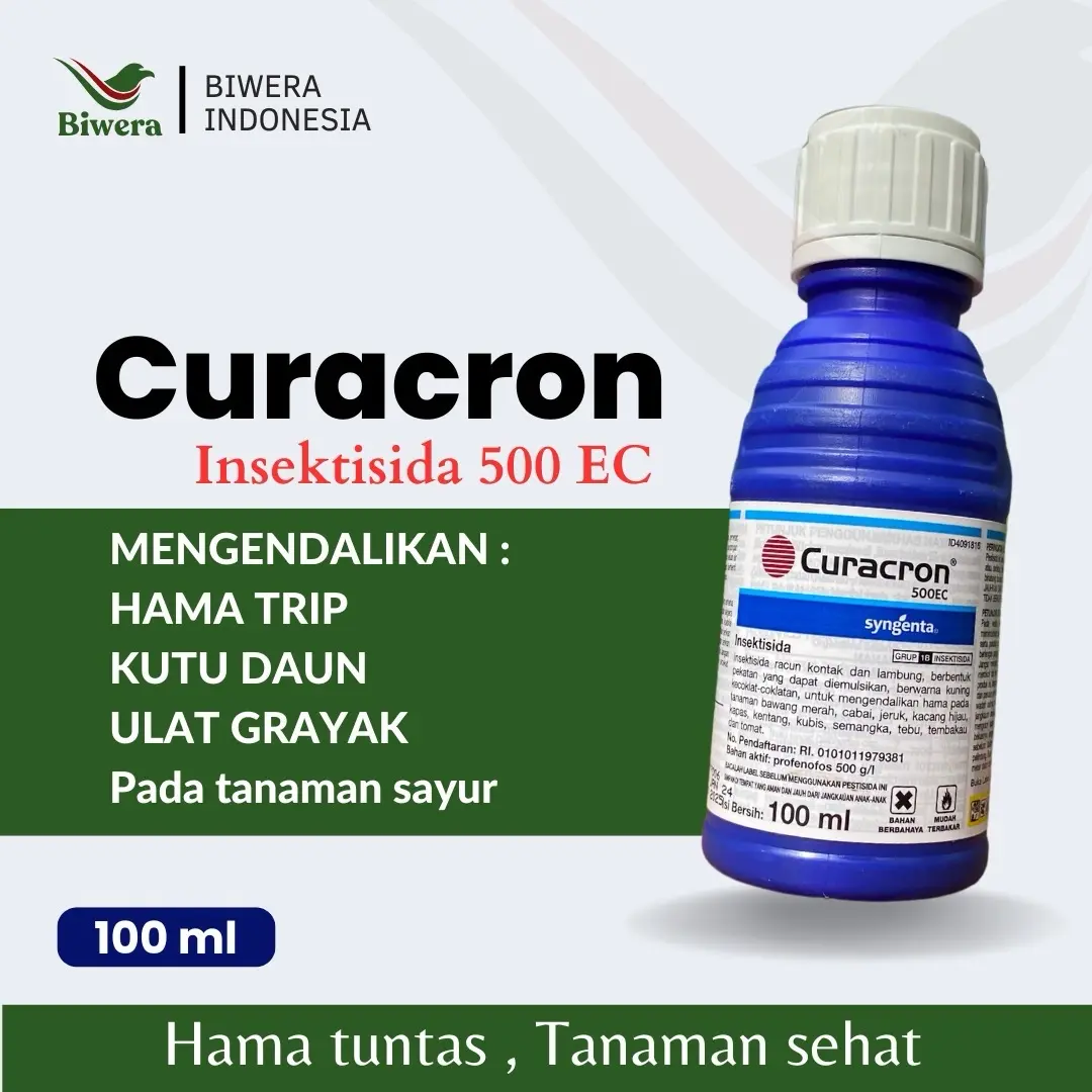 CURACRON 50 EC INSEKTISIDA PEMBASMI HAMA TANAMAN DAN KUTU PUTIH
