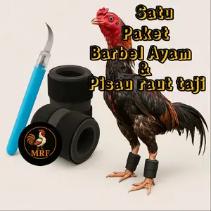 jual satu paket pisau raut taji ayam bangkok dan barbel ayam 300 gram