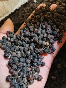 Biji kemukus / biji lada hutan kering 1 kg murah