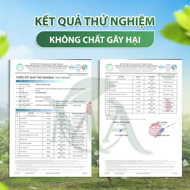 COMBO 30 Túi Lọc 5 VỊ BÚP ỔI NON [Ngọn Ổi Non - Cam Thảo - Cà gai leo- Lá Sen - Gạo Lứt] tặng 5 túi 1