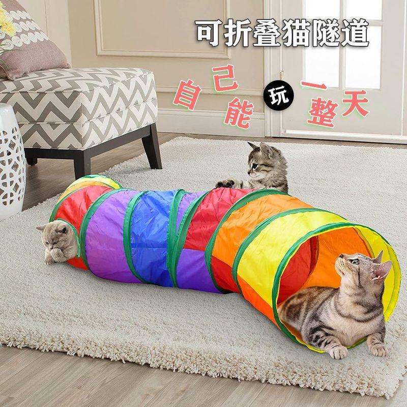Đồ chơi trêu mèo, cần câu mèo có thể tương tác, đường hầm, đường hầm dài đặc biệt, đường hầm cầu vồng, cỏ mèo.