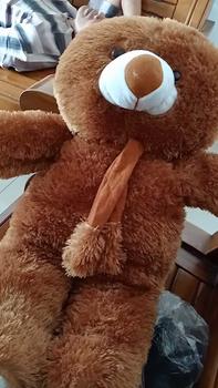 Product Review of boneka teddy bear syal telapak 75cm from b**a n**l 0