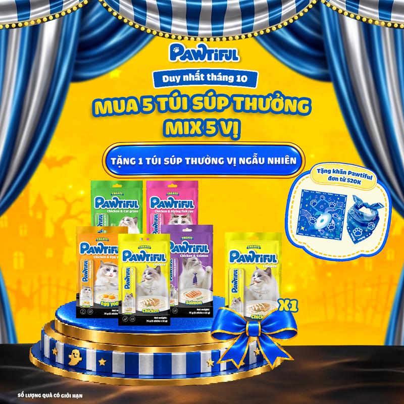 Combo 5 Túi súp thưởng Pawtiful cho Mèo bổ Sung Omega-3, DHA & Vitamin, hỗ trợ lông bóng mượt | 25 Thanh x15g