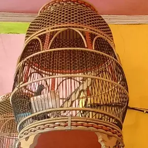 Grit Asinan Kemasan 500g Kulit Kerang Asli - Untuk Merpati, Derkuku, Perkutut, Semua Jenis Burung dan Reptil