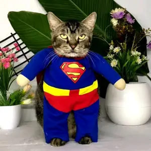 BAJU KUCING KARAKTER/COSPLAY SUPERMAN ALL SIZE  BAHAN KAOS ELASTIS BERSAYAP ANABUL MAKIN GAGAH MENAWAN TERLIHAT LUCU