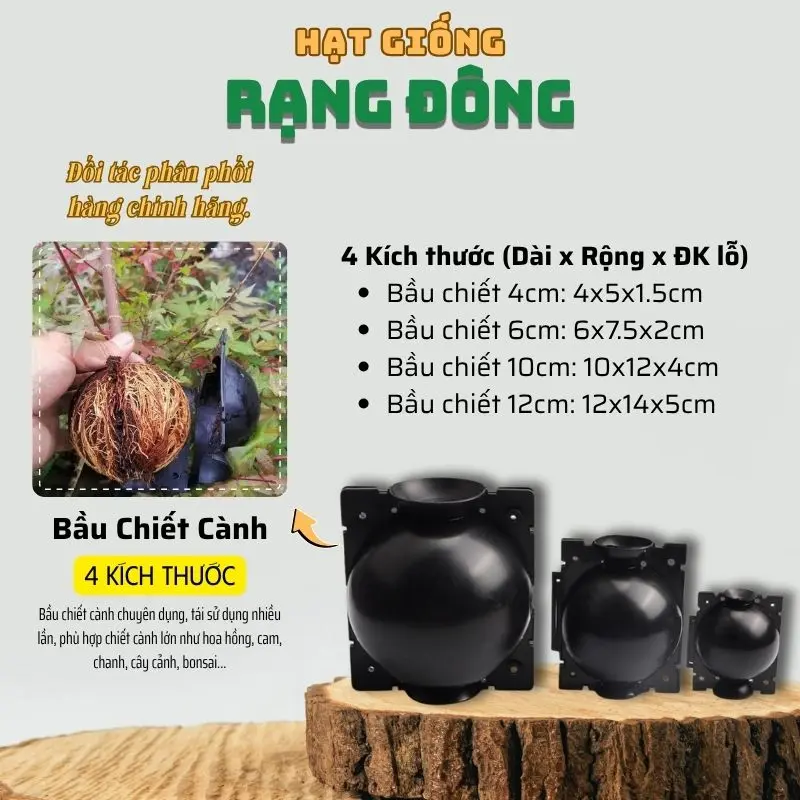 Bầu Chiết Cành 4 Size - Tiện dụng, tái sử dụng nhiều lần, tiết kiệm chi phí, thời gian, độ bền cao - Hạt giống Rạng Đông