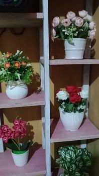 Product Review of Bunga hias MAWAR TELUR Vas Garis from M**y 0