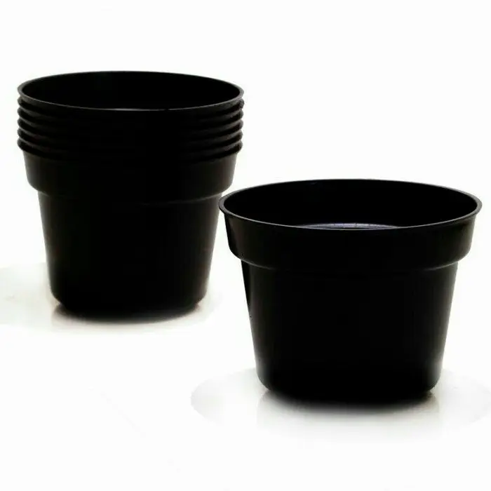 pot hitam untuk anggrek catty dewasa deal 125