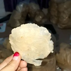 Emping Melinjo Mentah Superr 1kg Asli Banten Kualitas Terbaik untuk Masakan Tradisional