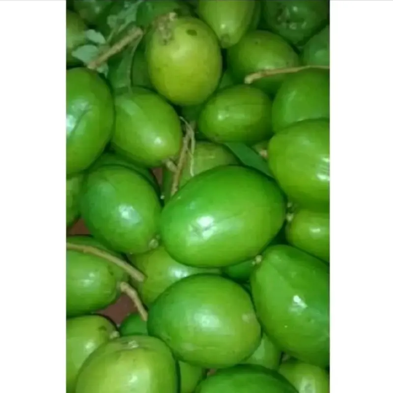 Kedondong Bangkok 1 kg manis renyah kriuk 1