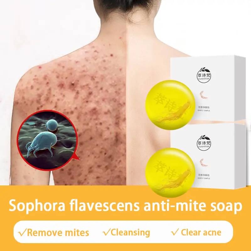 Ginseng Natural Soap Acne Treatment for Body and Face - Remove Acne, Back and Jerawat Muka - Antibacterial and Control Oil (Skincare) - Skin Repair