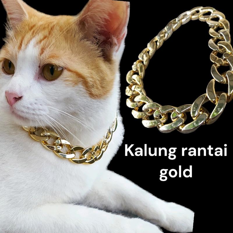 kalung kucing anjing anabul rantai warna gold besar 1